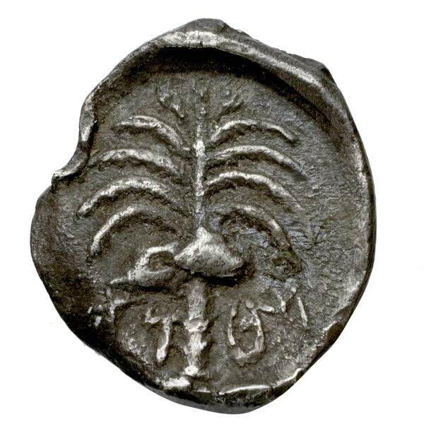 Motya Campana 1999 group VI serie I 15, реверс, bnf-iris