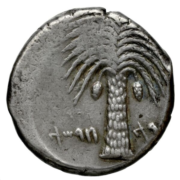 Carthaginian Empire Carthage Jenkins 1974 Carthage series 1, 1-37, реверс, bnf-iris