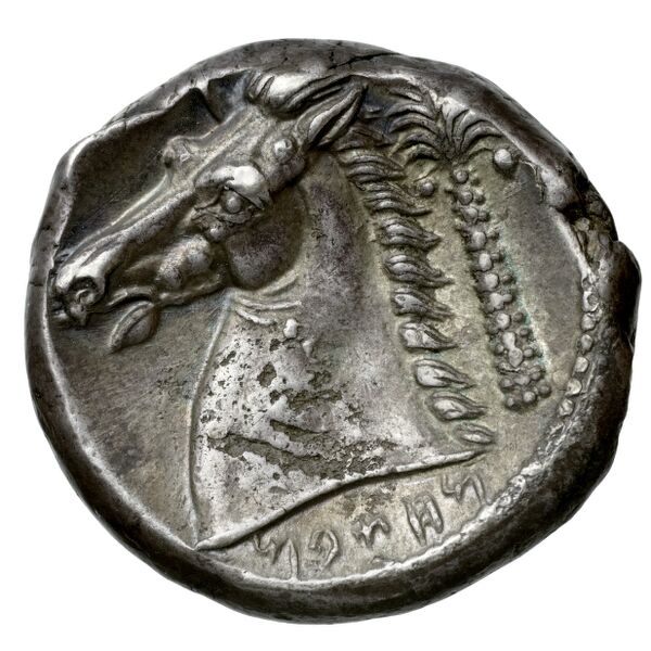 Carthaginian Empire Carthage Jenkins 1978 Carthage series 5, реверс, bnf-iris