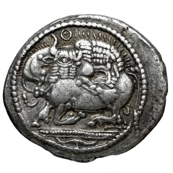 Acanthus Tselekas 1996 Periods B-C, groups 8-29, аверс, bnf-iris