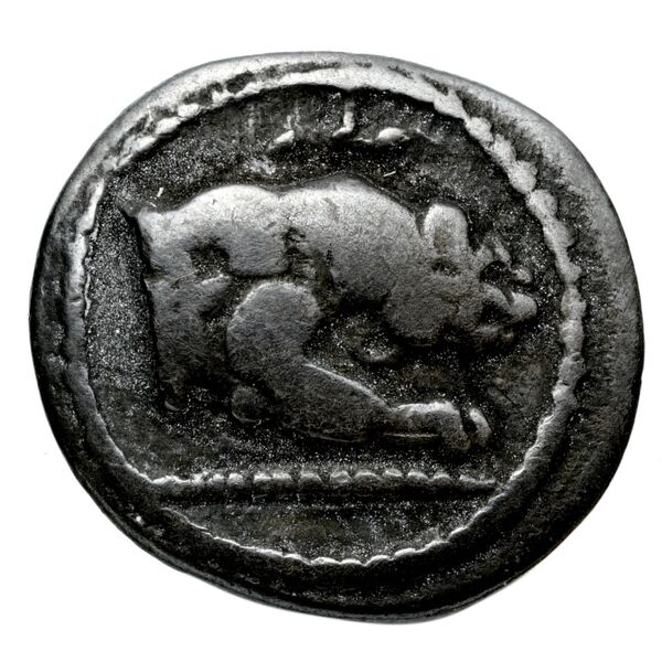 Acanthus Tselekas 1996 Period B, T4; C, T8-14, аверс, bnf-iris