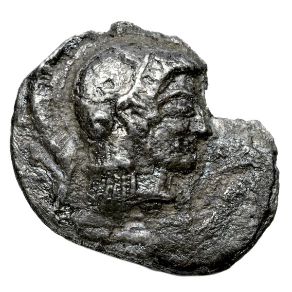 аверс Acanthus Tselekas 1996 Period B, D1-5; D, D6