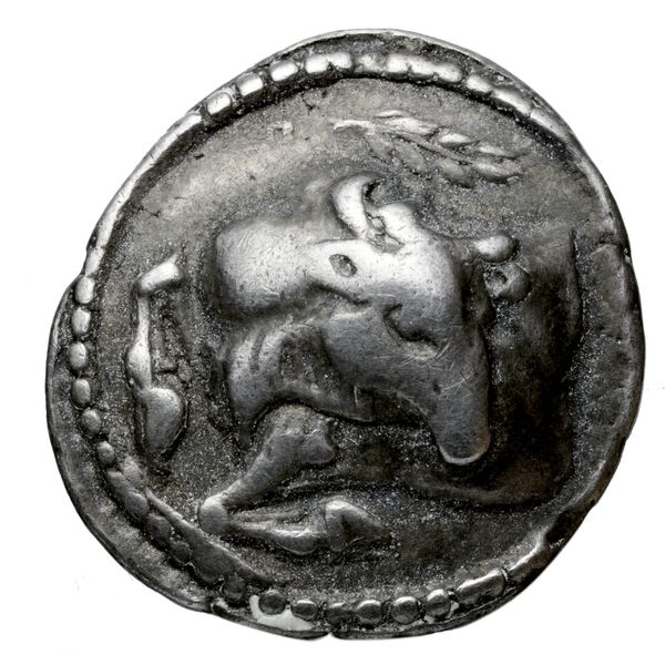 Acanthus Tselekas 1996 Period A, T1-3; B, T5-7; DR1-2, аверс, bnf-iris