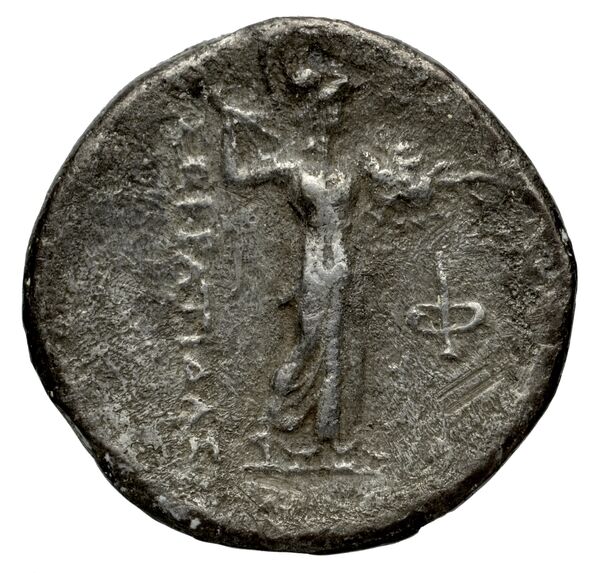 Phaselis Heipp-Tamer 1993 10.2, реверс, bnf-iris