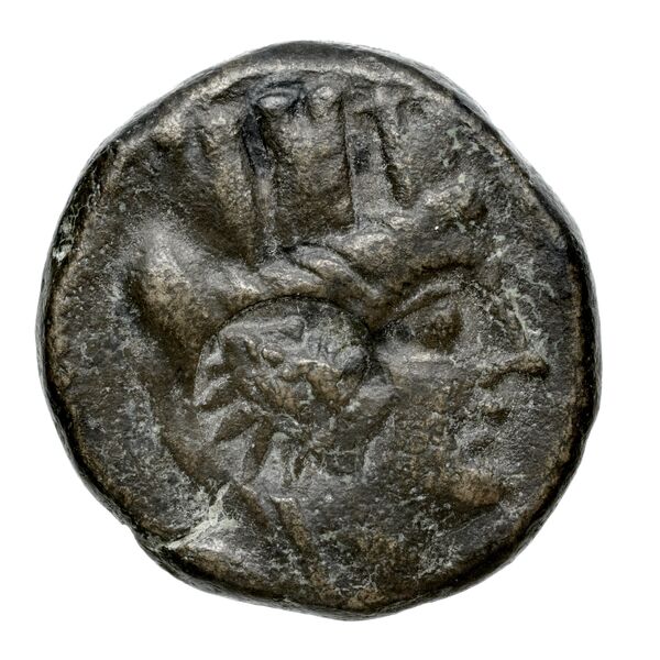 Tarsus SNG Levante 940-61, 933-8, аверс, bnf-iris