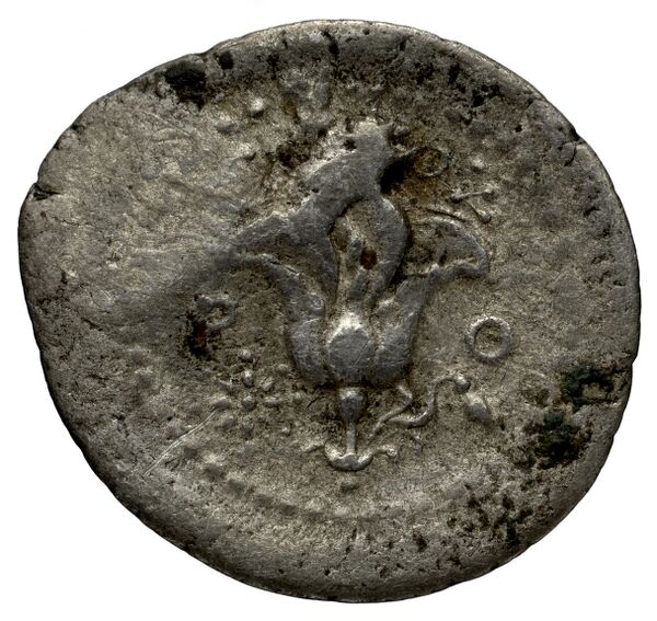 Rhodes Rhodes Ashton 2001 333, реверс, bnf-iris