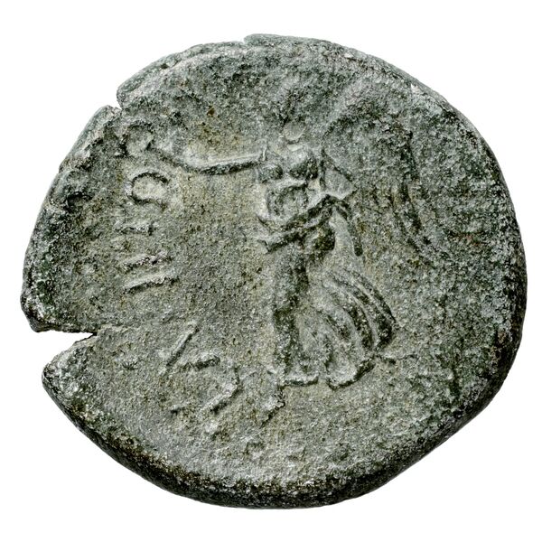Seleuceia ad Calycadnum SNG Levante 703, реверс, bnf-iris