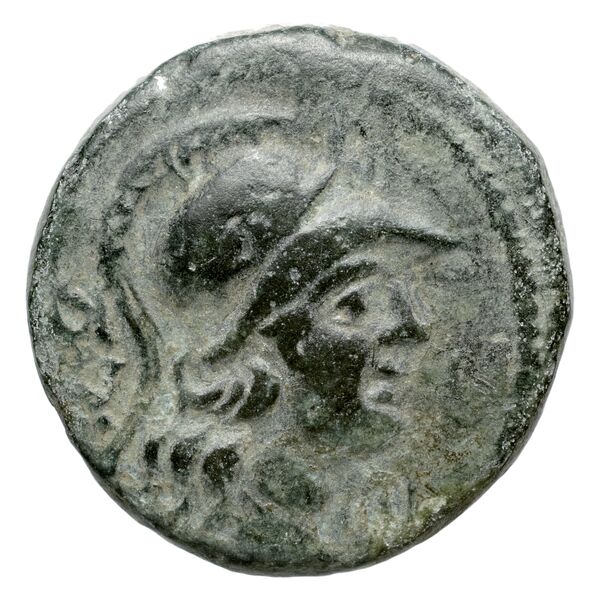 Seleuceia ad Calycadnum SNG Levante 680-9, аверс, bnf-iris