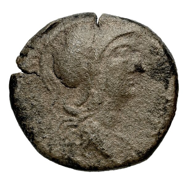 Seleuceia ad Calycadnum SNG Levante 716, аверс, bnf-iris