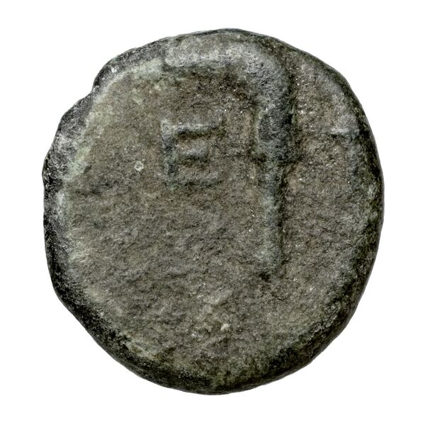 reverse Etenna von Aulock 1979 529
