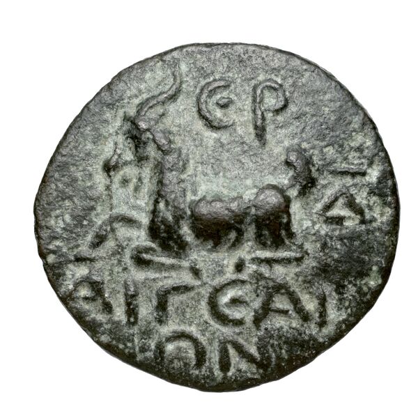 Aegeae Bloesch 1982 Period 6B.264-74, реверс, bnf-iris