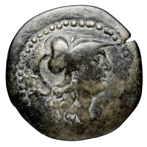 Seleuceia ad Calycadnum SNG Levante 680-9, аверс, bnf-iris