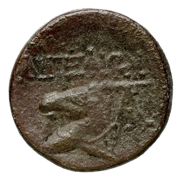 Aegeae Bloesch 1982 Period 3.20-61, реверс, bnf-iris