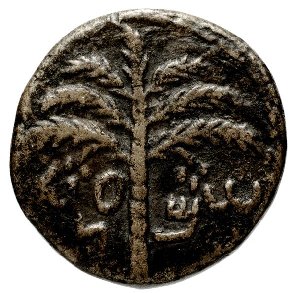 Simon bar Kokhba Judaea Hendin 2010 1437, аверс, bnf-iris