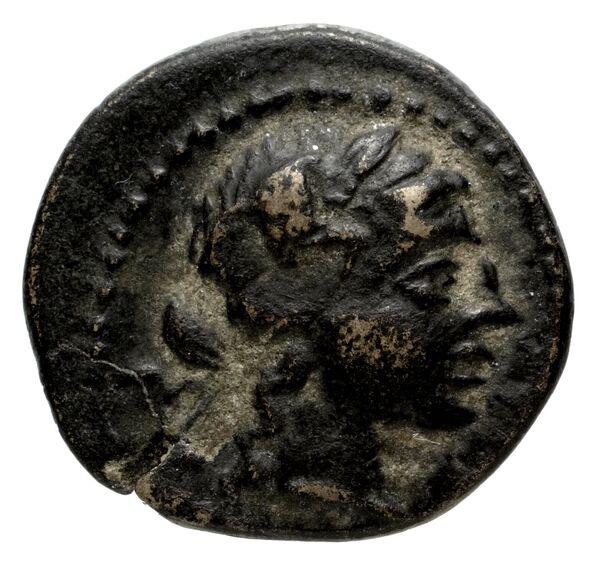 Neapolis ad Harpasum Delrieux 2008 NH1, аверс, bnf-iris