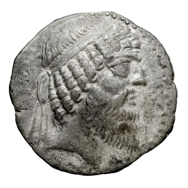 Tiraeus II of Characene Charax Spasinou BMC Characene pl. 43, 2, аверс, bnf-iris