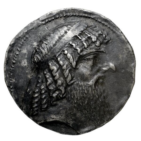 Tiraeus II of Characene Charax Spasinou BMC Characene pl. 43, 2, аверс, bnf-iris