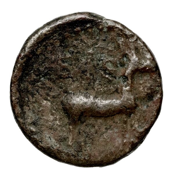 Ephesus Kinns and Holt 2023 Period II, AE VIII, реверс, bnf-iris