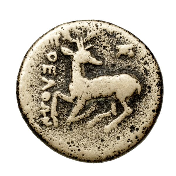 Ephesus Kinns and Holt 2023 Period II, AE VIII, реверс, bnf-iris