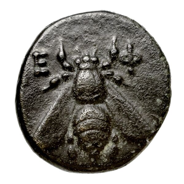 Ephesus Kinns and Holt 2023 Period II, AE VIII, аверс, bnf-iris
