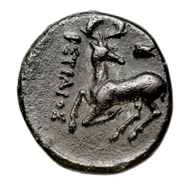 Ephesus Kinns and Holt 2023 Period II, AE VIII, реверс, bnf-iris