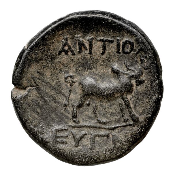 Antioch of Pisidia Imhoof-Blumer 1901-2 p. 357, 2-5, reverse, bnf-iris