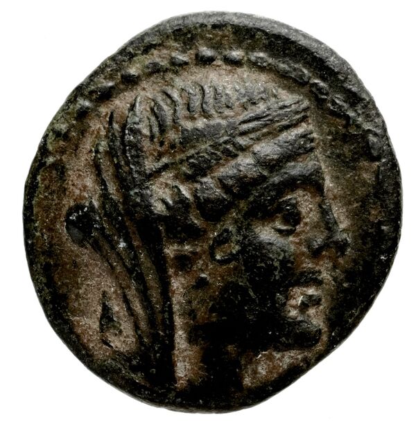Apameia in Syria BMC Apamea 4, аверс, bnf-iris