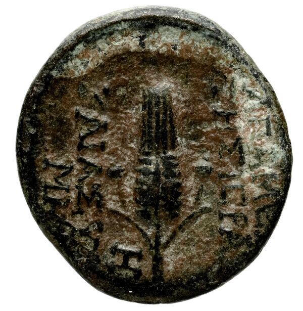 Apameia in Syria BMC Apamea 4, реверс, bnf-iris