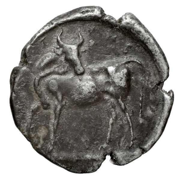 Gortyn Carbone 2016 59-103, 113-117, реверс, bnf-iris