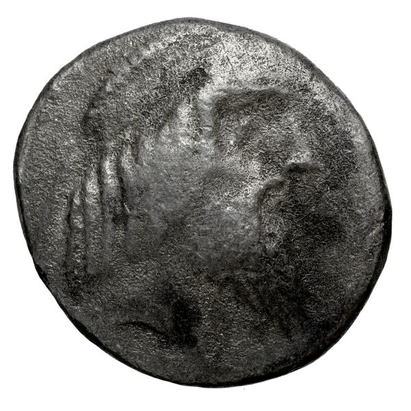 Attambelus I of Characene Charax Spasinou BMC Characene pl. 55, 10-14, аверс, bnf-iris