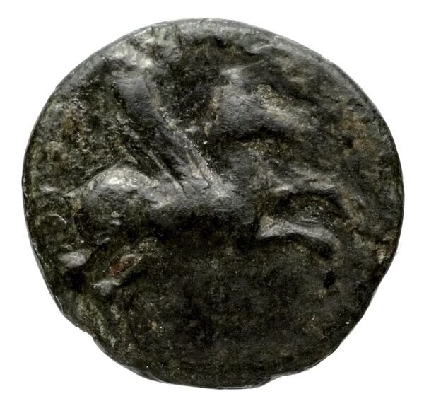 coin obv