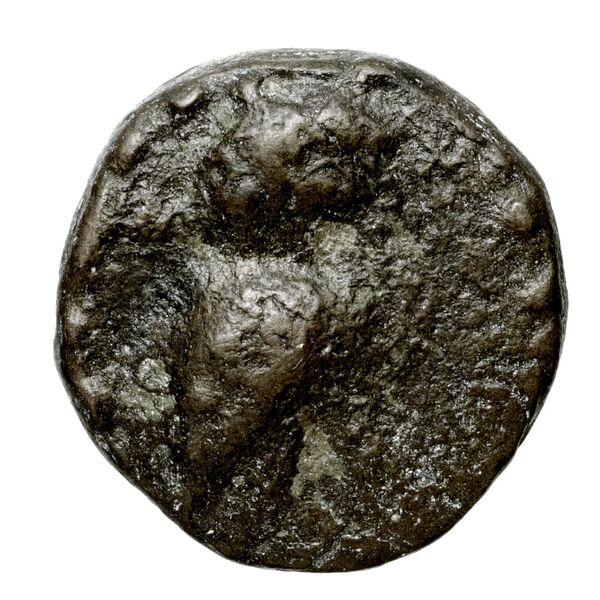 Cydonia Svoronos 1890 (1972) 80-88, аверс, bnf-iris
