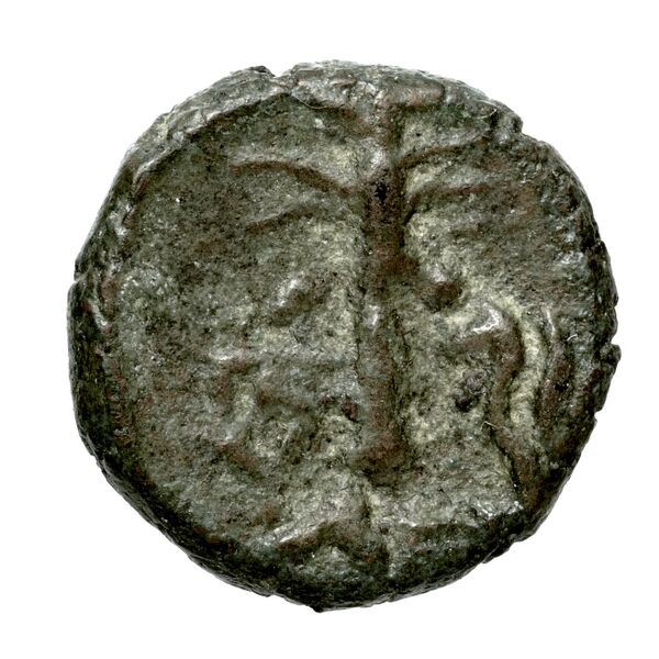 Hierapytna Stefanaki 2020 7e série ; groupes I-II ; émissions 51-57 (catalogue n° 326-385), реверс, bnf-iris