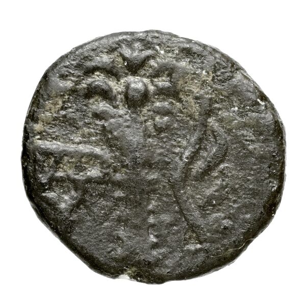 Hierapytna Stefanaki 2020 3e série ; groupes III-V ; émissions 9-11, 13, 15 (catalogue n° 22-51, 53-78, 83-128), реверс, bnf-iris