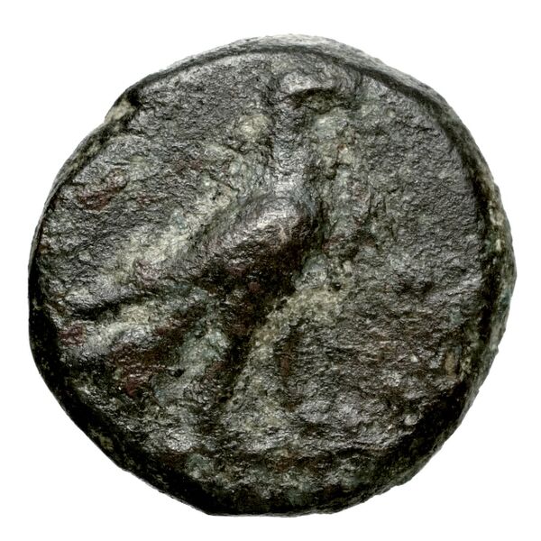 Lyttus Svoronos 1890 (1972) 51-54, 66-74, аверс, bnf-iris