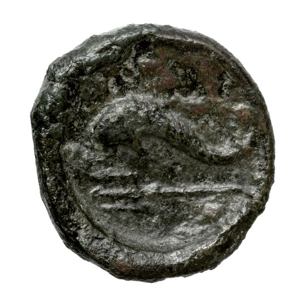 Rhaucus Svoronos 1890 (1972) 5, 36-37, реверс, bnf-iris