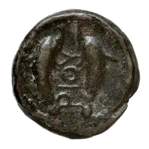 Rhithymna Svoronos 1890 (1972) 11-16, реверс, bnf-iris