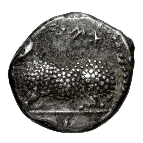 Euanthes of Salamis Salamis BMC Salamis 38-41, аверс, bnf-iris
