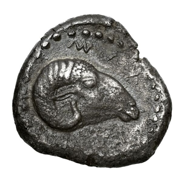 coin rev