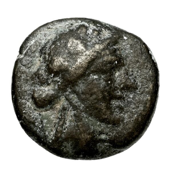 Andros Dreni 2010 XVI, аверс, bnf-iris