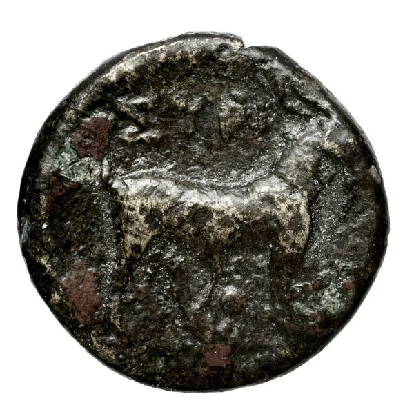 Syros BMC Syros 1-12, реверс, bnf-iris