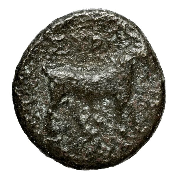 Syros BMC Syros 1-12, реверс, bnf-iris