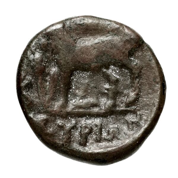 Syros BMC Syros 1-12, реверс, bnf-iris