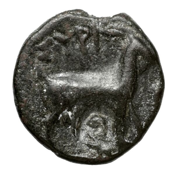 Syros BMC Syros 1-12, реверс, bnf-iris