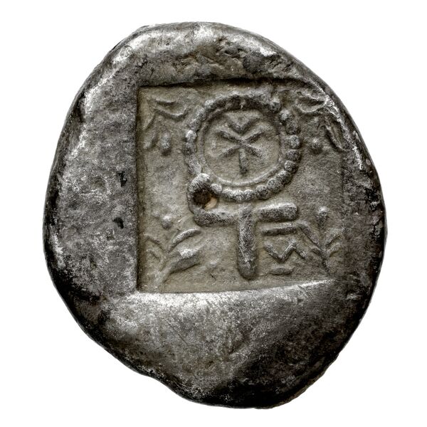 реверс Salamis BMC Salamis 21-22