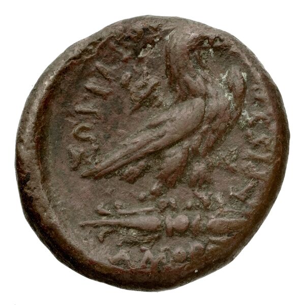 Amorium Katsari 2012 A19-36, реверс, bnf-iris