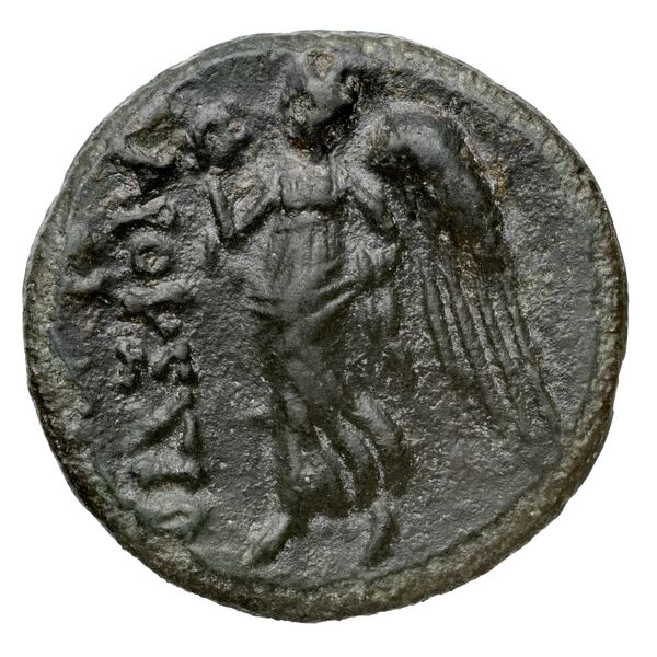 Elaeusa BMC Elaeussa 1-9, реверс, bnf-iris