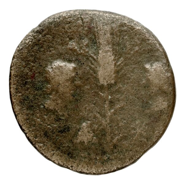 coin rev