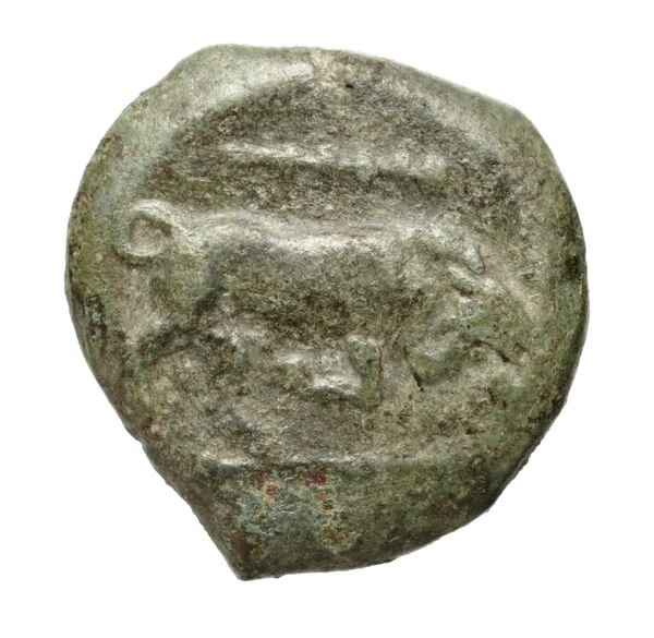 Poseidonia Historia Numorum Italy 1171-9, bnf-iris