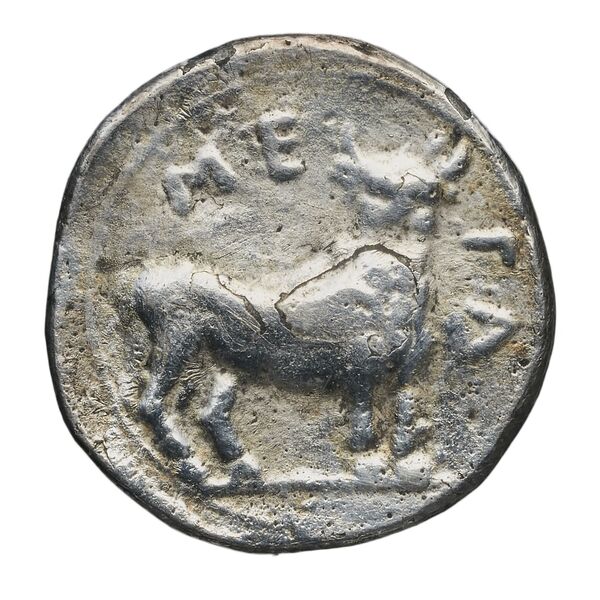reverse Megara Hyblaea SNG ANS 287